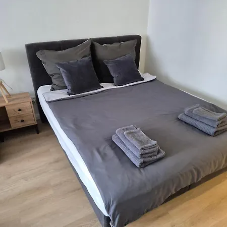 City, Centrally Located, Fully Renovated Daire *
